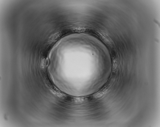 X0000096420623200802141636