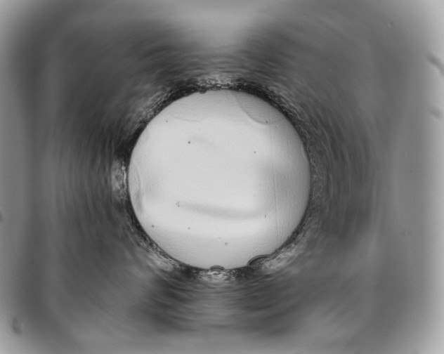 X0000096420624200802141635