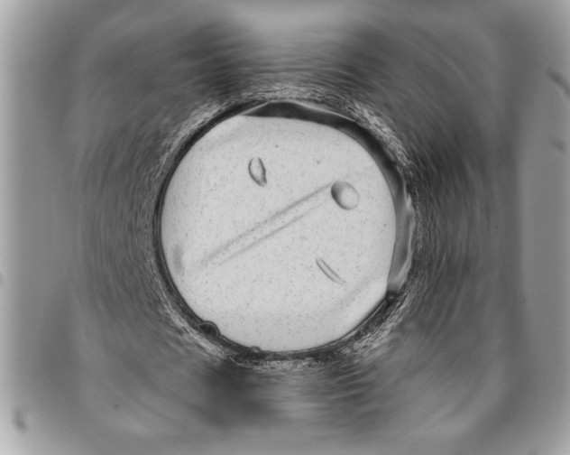 X0000096420625200802141635