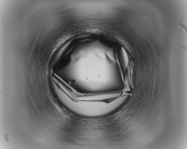 X0000096420626200802141635