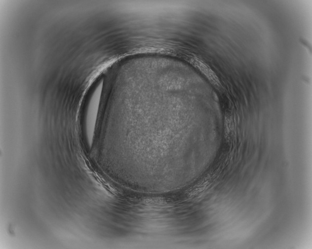 X0000096420628200802141635