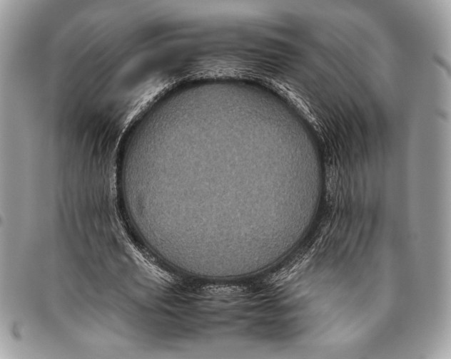 X0000096420629200802141635