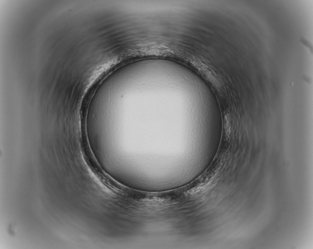 X0000096420630200802141635