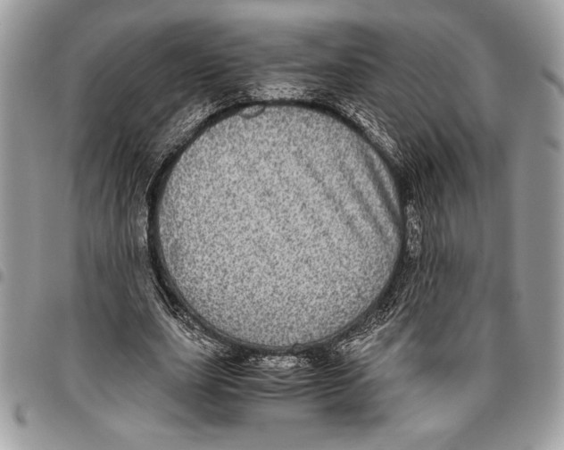 X0000096420631200802141635