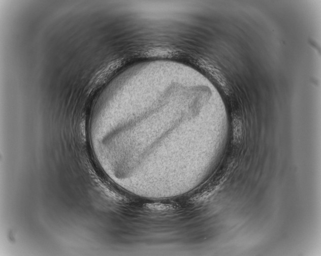 X0000096420633200802141635