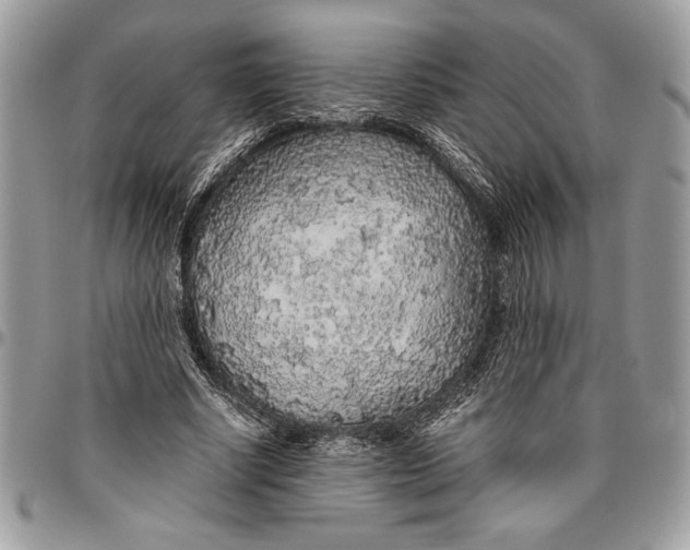 X0000096420634200802141635