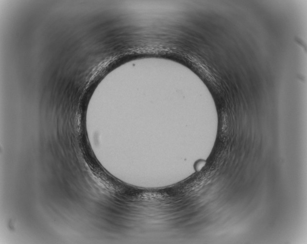 X0000096420636200802141635