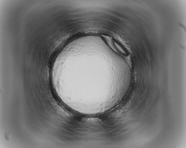 X0000096420637200802141635