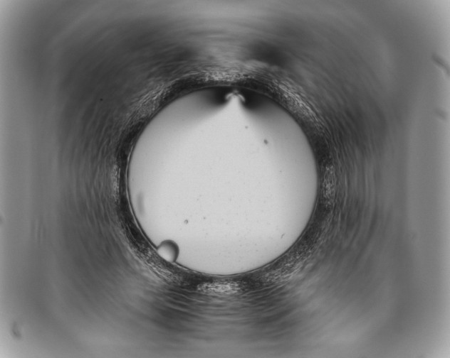 X0000096420639200802141635