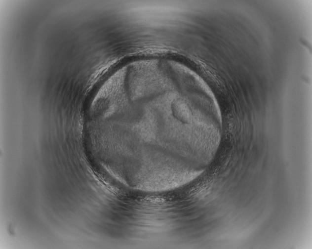 X0000096420640200802141635