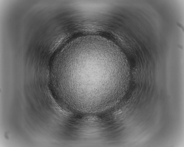 X0000096420642200802141635