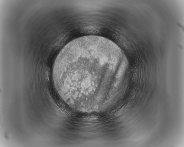 X0000096420643200802141635