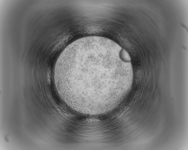 X0000096420644200802141635