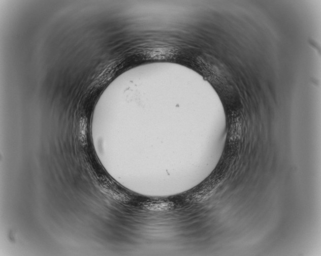 X0000096420646200802141635