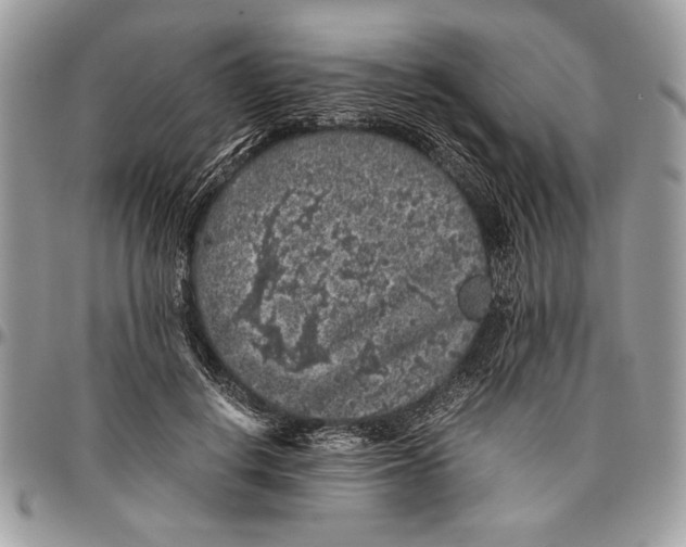 X0000096420648200802141635