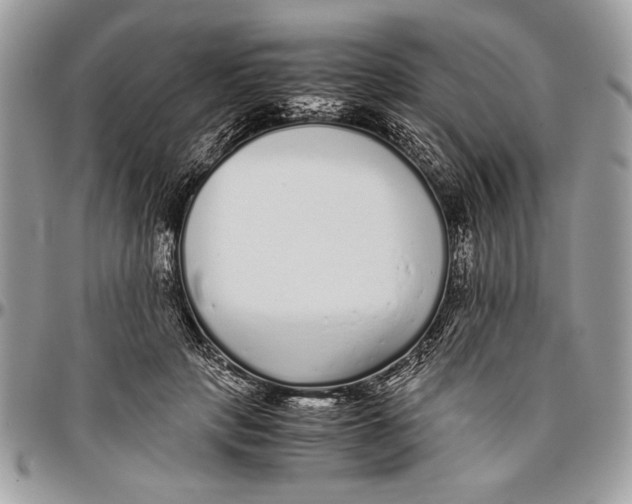 X0000096420649200802141635