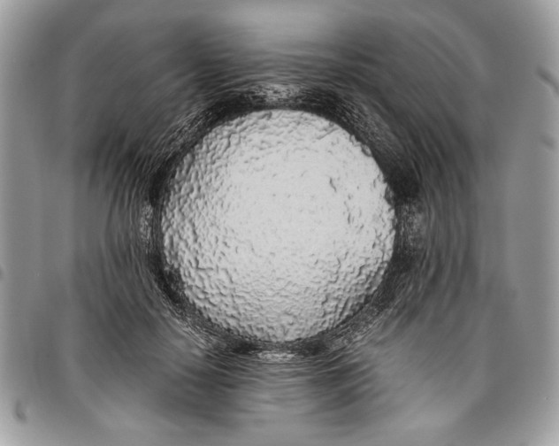 X0000096420650200802141635