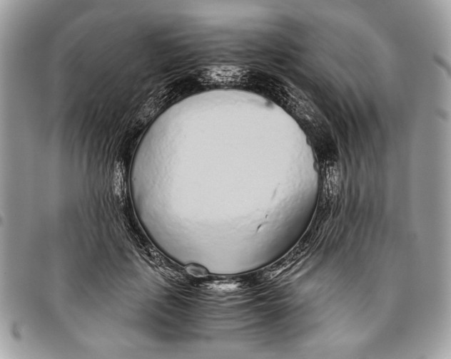 X0000096420651200802141635