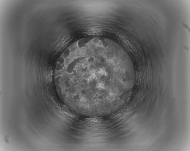 X0000096420652200802141635