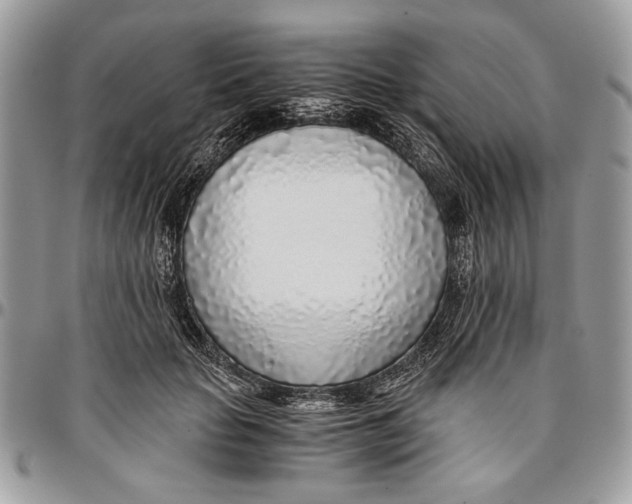 X0000096420653200802141635