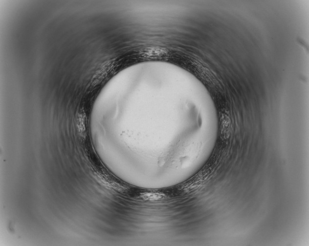 X0000096420654200802141635