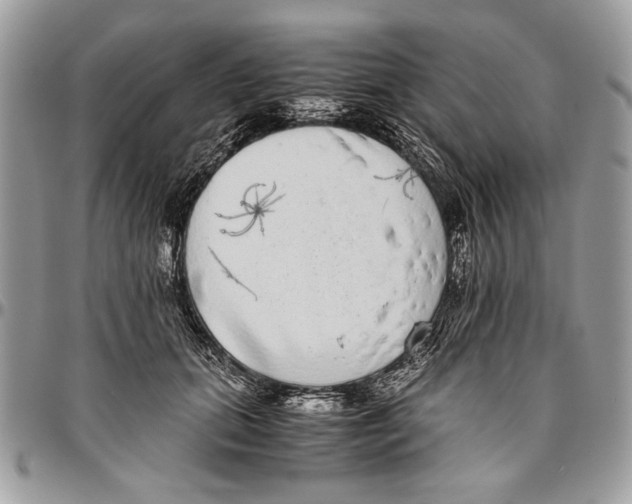 X0000096420655200802141635