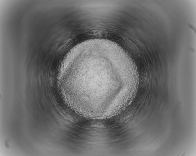 X0000096420656200802141635