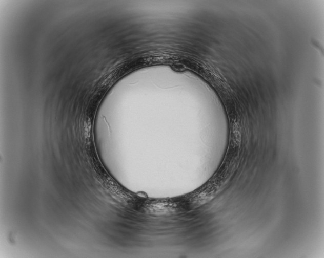 X0000096420657200802141635