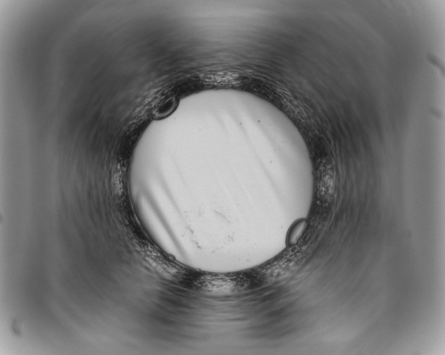 X0000096420658200802141635