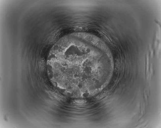 X0000096420659200802141635