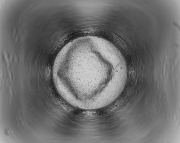 X0000096420660200802141635