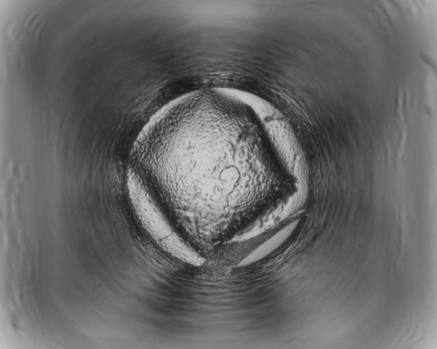 X0000096420661200802141635