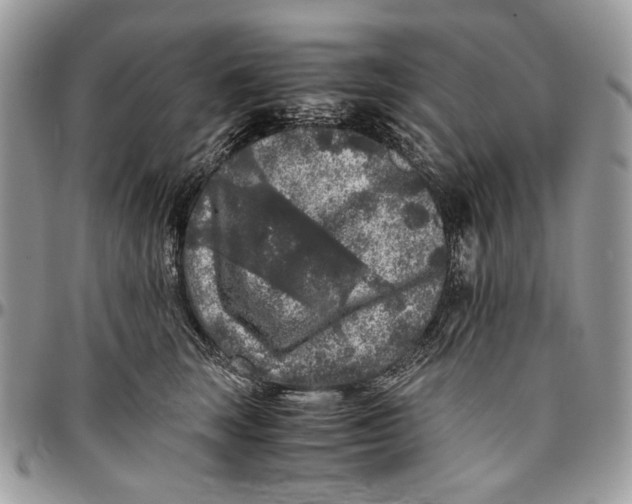 X0000096420663200802141635