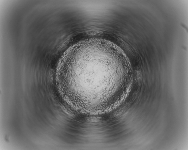 X0000096420664200802141635