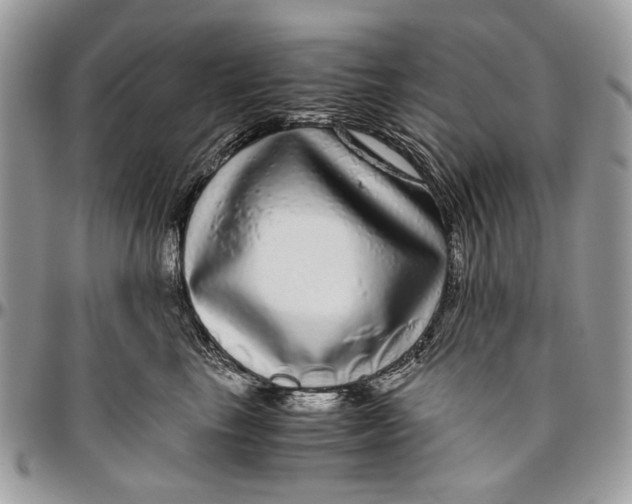 X0000096420665200802141635