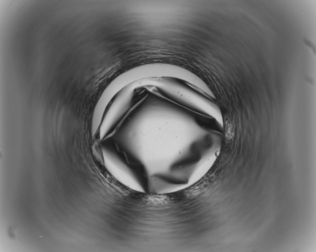 X0000096420666200802141635