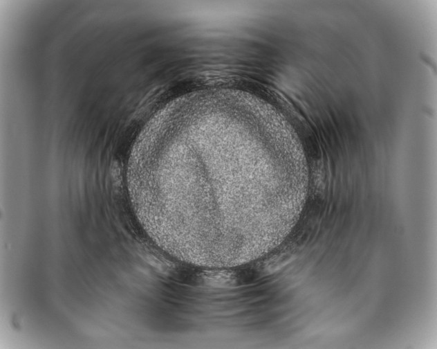 X0000096420667200802141635