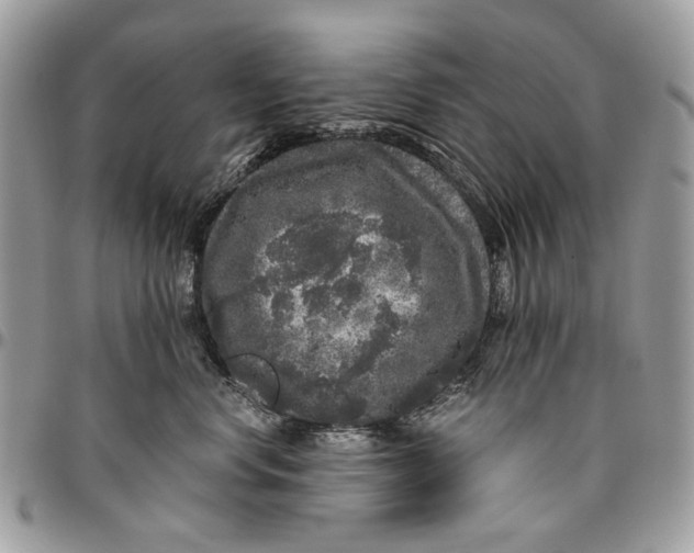 X0000096420668200802141635