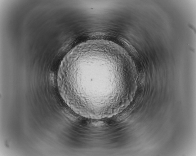 X0000096420669200802141635