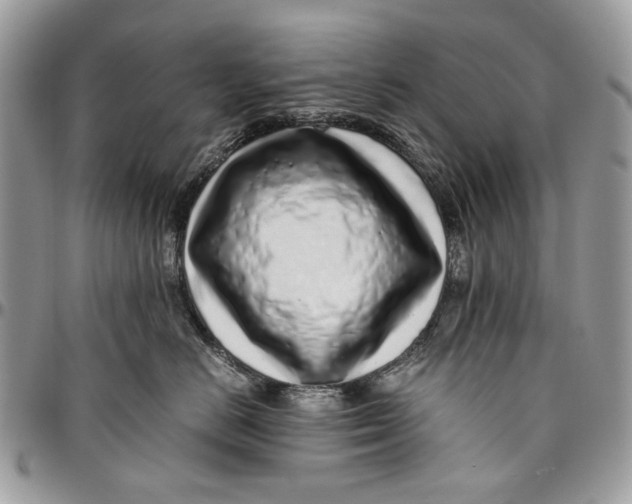 X0000096420670200802141635