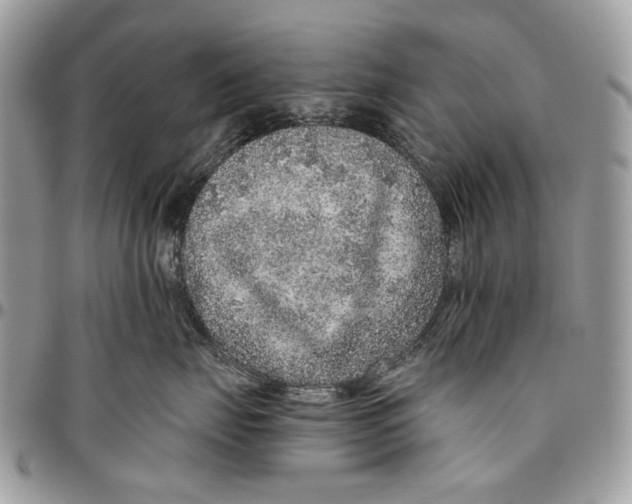 X0000096420671200802141635