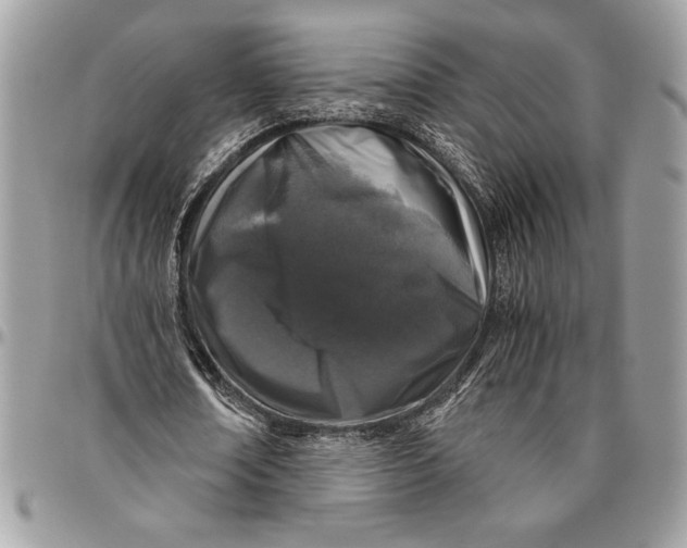 X0000096420674200802141635