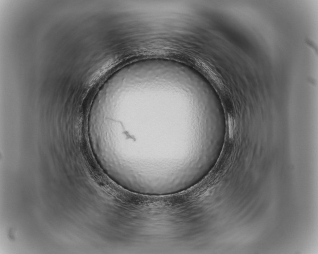 X0000096420675200802141635