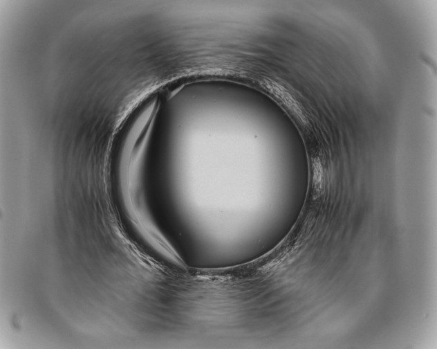 X0000096420676200802141635