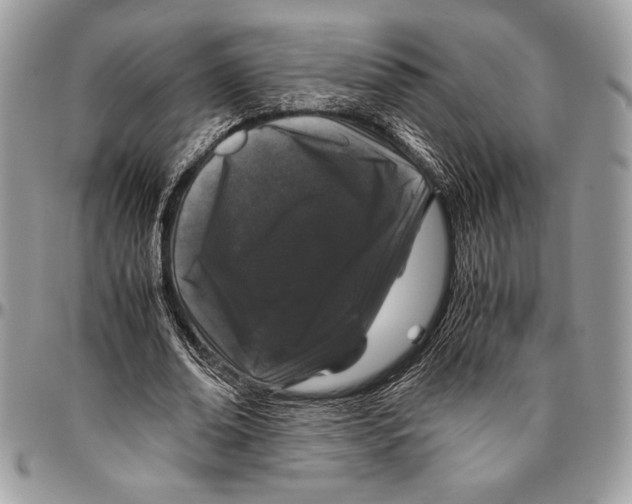 X0000096420678200802141635