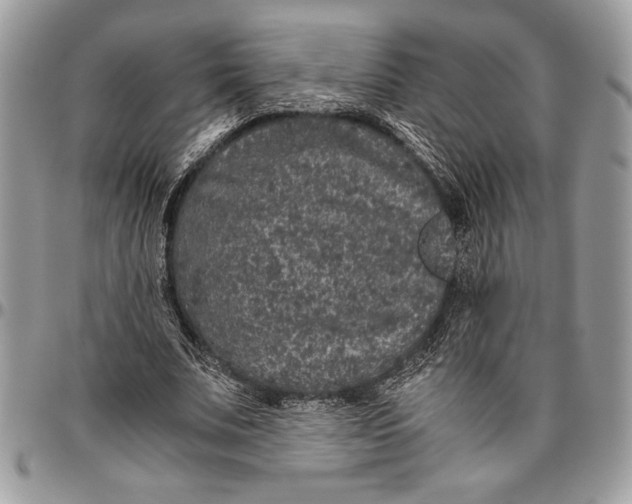 X0000096420679200802141635