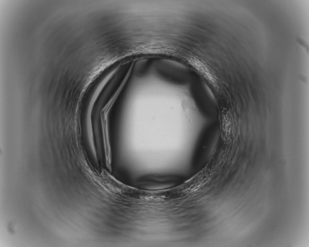 X0000096420680200802141635