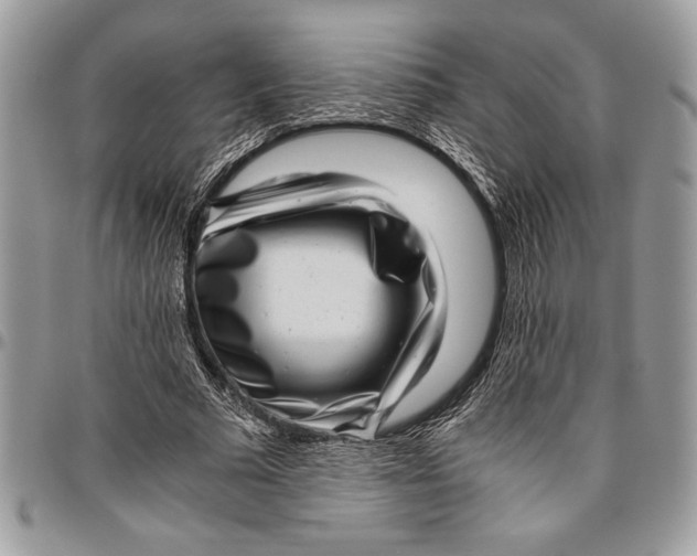 X0000096420681200802141635