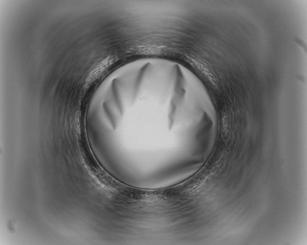 X0000096420682200802141635