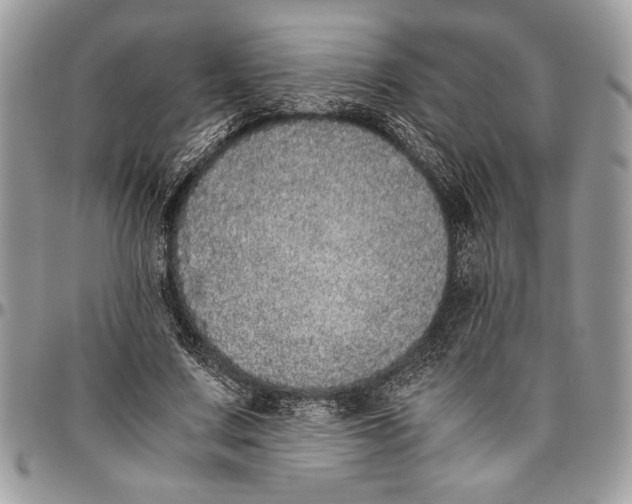 X0000096420683200802141635